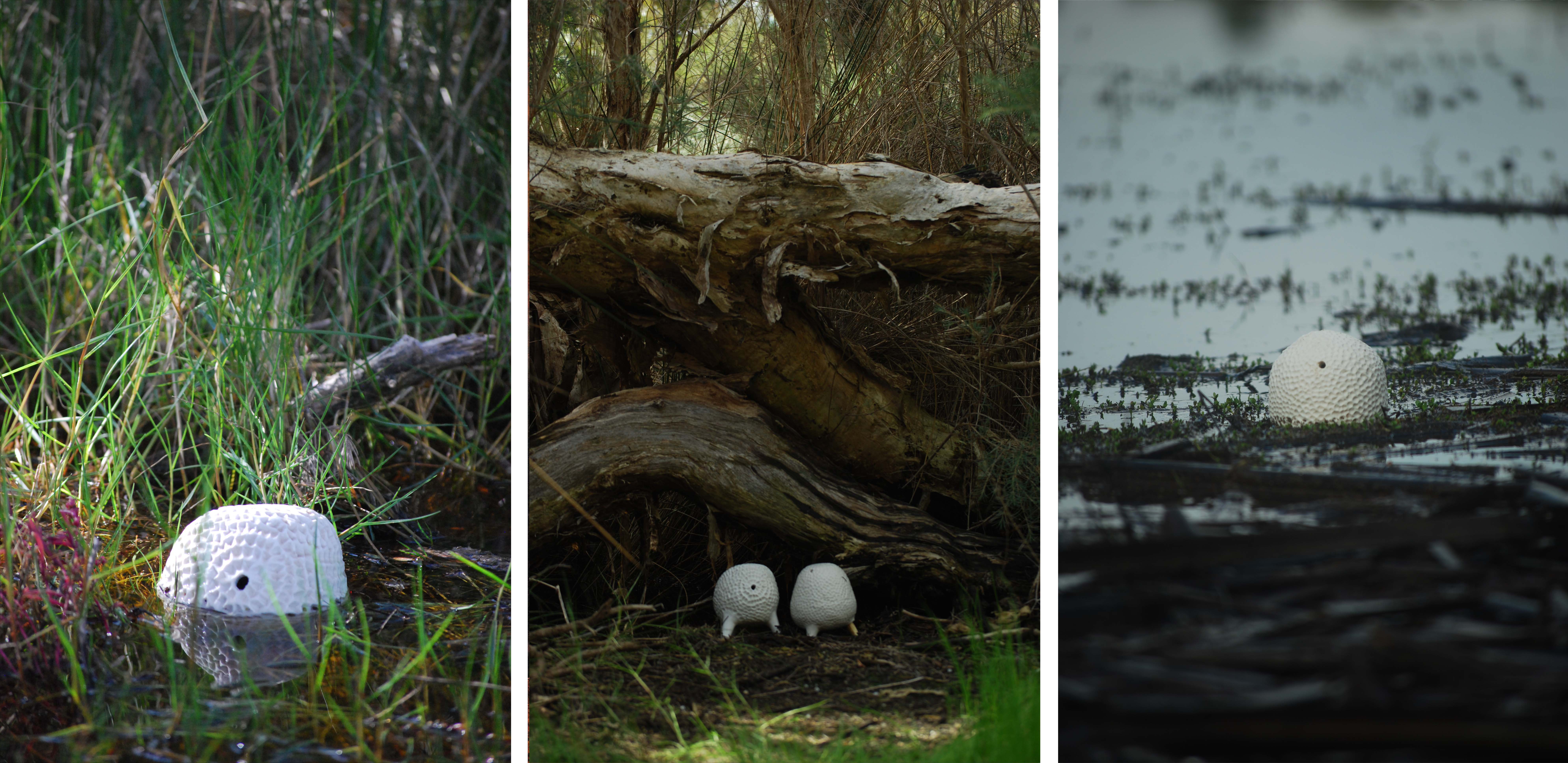 stranger things and wetlands