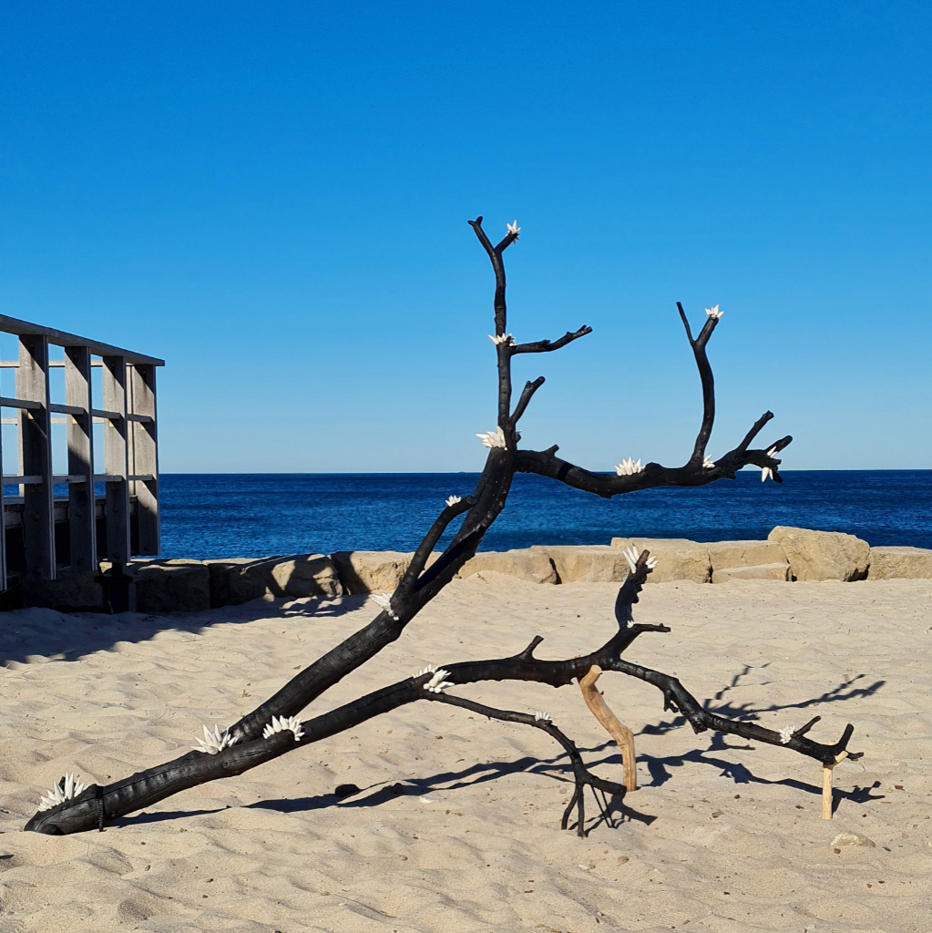 sculpture at bathers beach